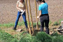 Drahovský vidiecky sad