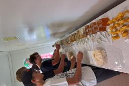 Ochutnávka medov 2025