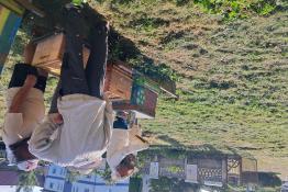 Súťaž mladých včelárov