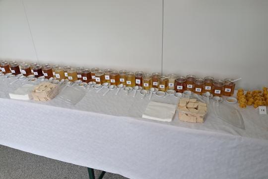 Ochutnávka medov 2025